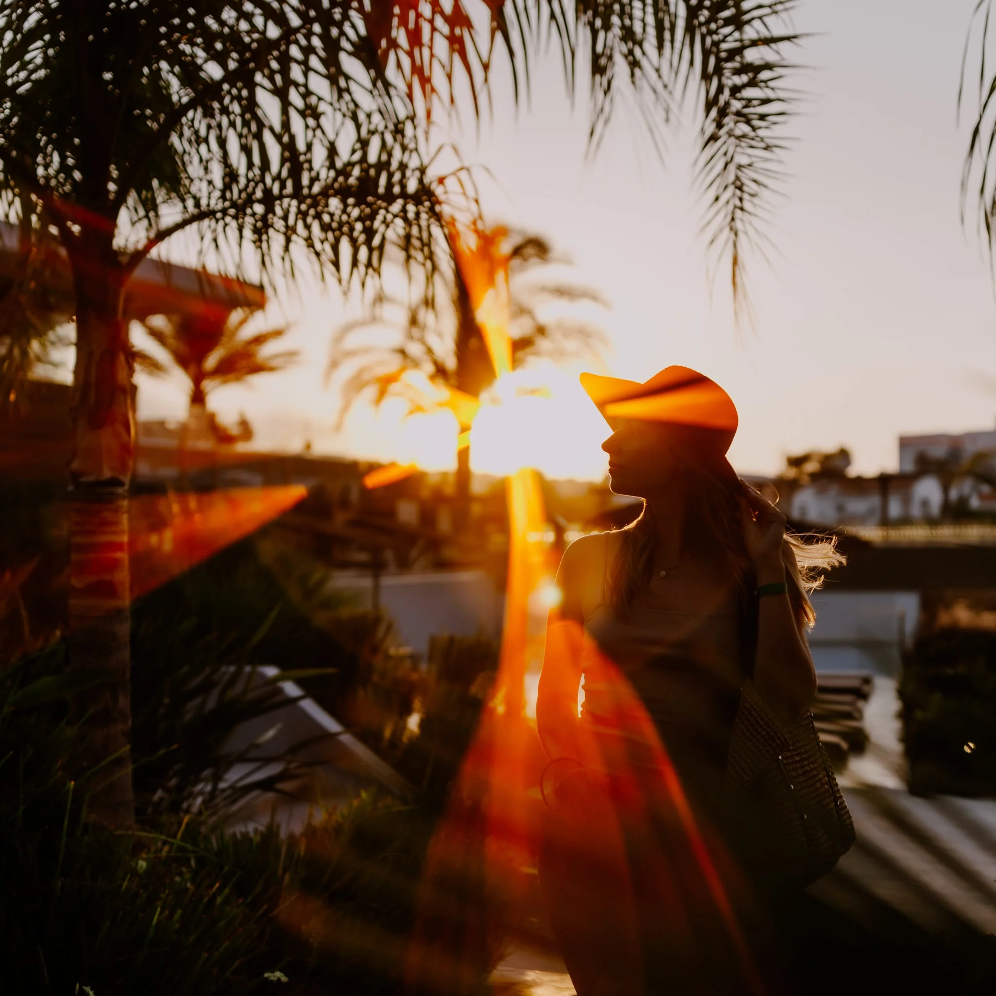 Aurora Orange - Image 4