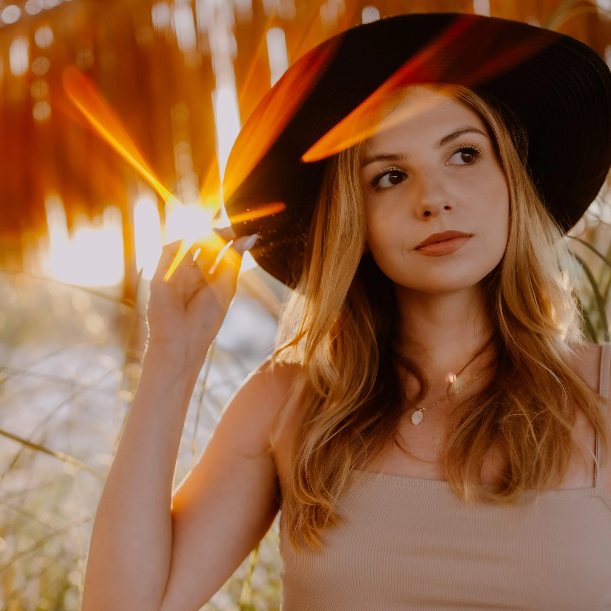 Aurora Orange - Image 5