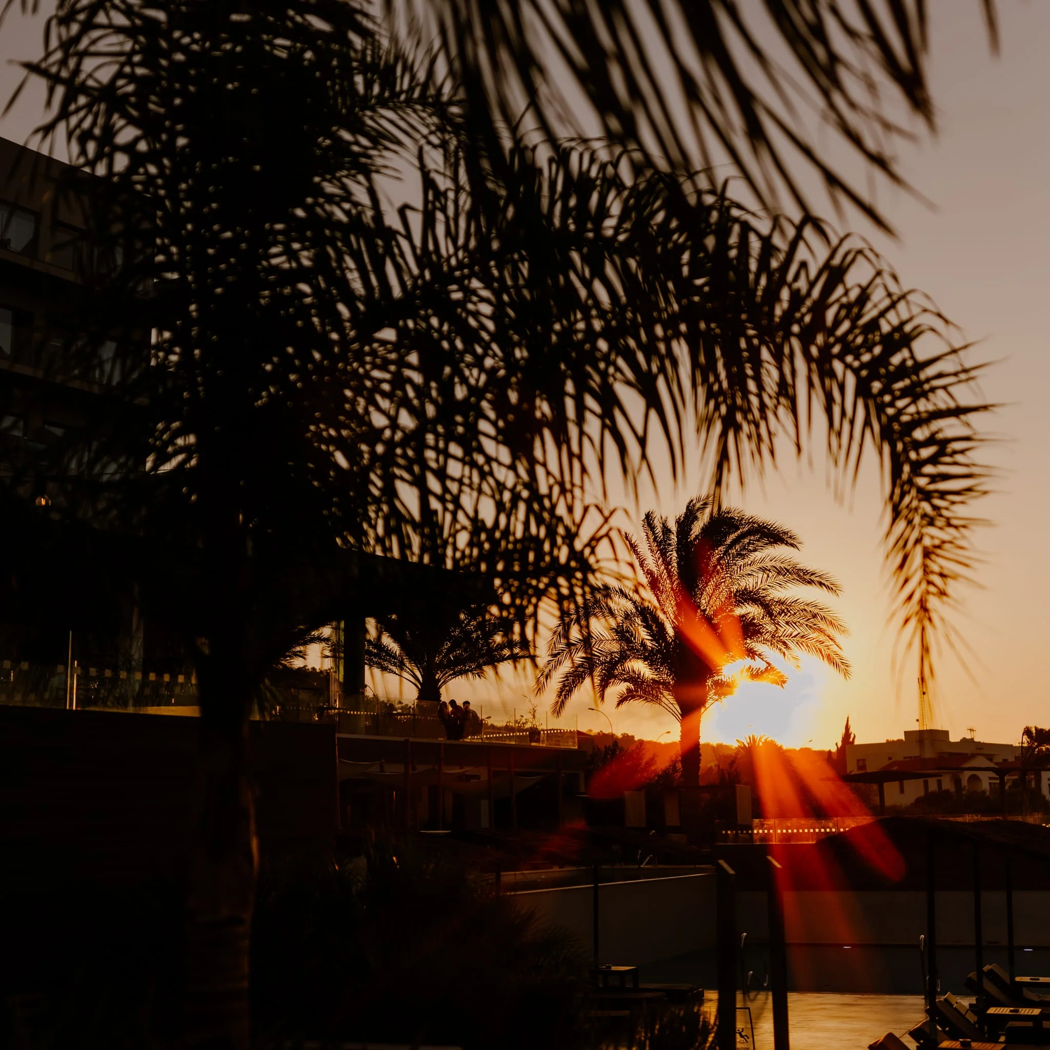 Aurora Orange - Image 9